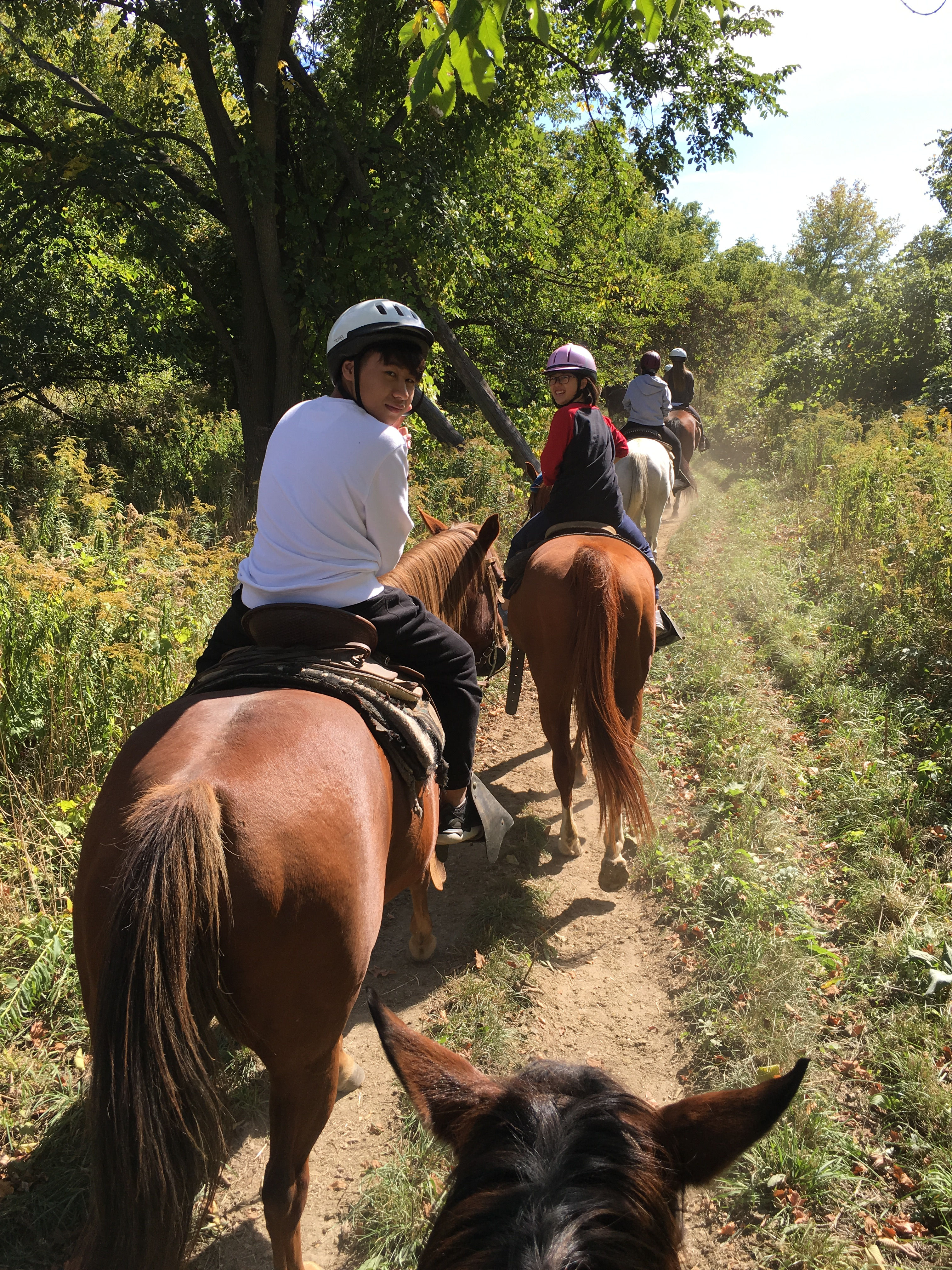 Horse Riding — photo 1