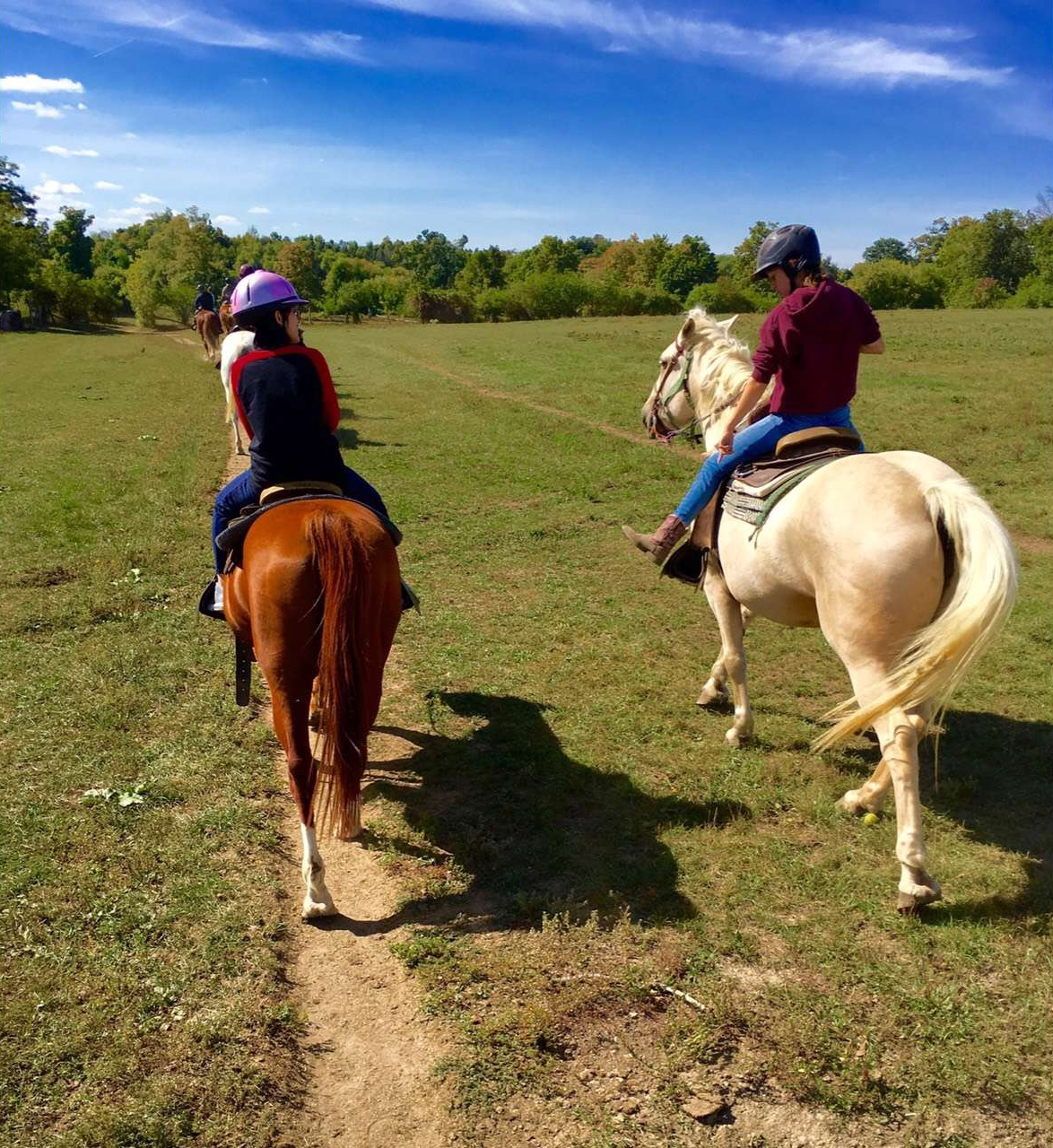 Horse Riding — photo 2